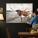Vintage Texas Cow Wall Art Canvas Print, Rustic Longhorn