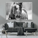 Black and White Horse Winter Wall Art | Ready to Hang and