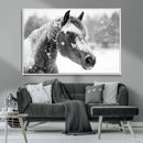 Black Horse Winter Wall Art | Ready to Hang and Framed |