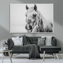 White Horse Wall Art | Ready to Hang and Framed | Winter