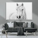 Majestic White Horse Wall Art | Ready to Hang and Framed |