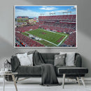 Florida Tampa Raymond James Stadium Wall Art Canvas Print -
