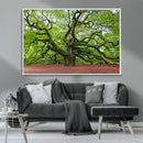 Framed Angel Oak Tree Wall Art - 3-Panel Canvas Prints,