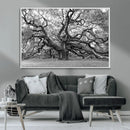 Black White Angel Oak Tree Wall Art - Timeless