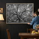 Majestic Angel Oak Tree Black and White Canvas Print – Multi by MyGreatCanvas | Canvas Wall Art Prints | Photo Prints & Wall Decor