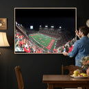 Houston Cougars Football Team Print - Houston TDECU Stadium