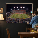 Demon Deacons Print Canvas, Football Team Print -
