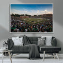 University of Charlotte 49ers Football Team Print - by MyGreatCanvas | Canvas Wall Art Prints | Photo Prints & Wall Decor