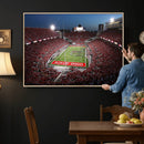Ohio State University Buckeyes Football Team Print -