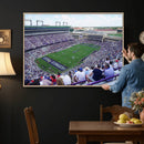 The Texas Christian University TCU Horned Frogs Football