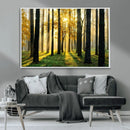 Sunlit Forest Wall Art Canvas Print – Large Framed Woodland