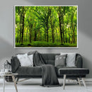 Lush Green Forest Canvas Print | 3-Panel Forest Wall Art | by MyGreatCanvas | Canvas Wall Art Prints | Photo Prints & Wall Decor