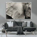 Elephant Wall Art Canvas Print