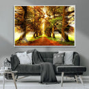 Sunshine in Forest and Trees Wall Art Canvas Print by MyGreatCanvas | Canvas Wall Art Prints | Photo Prints & Wall Decor
