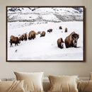 Bison Herd Wall Art Canvas Print – Framed Western Wildlife by MyGreatCanvas | Canvas Wall Art Prints | Photo Prints & Wall Decor