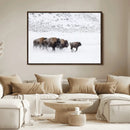 Bison Herd Decor Wall Art Canvas Print – Framed Snowy Bison by MyGreatCanvas | Canvas Wall Art Prints | Photo Prints & Wall Decor