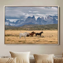 Grand Teton Park Wild Horses Wall Art Canvas Print – Framed
