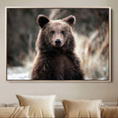 Brown Bear Wall Art Canvas Print – Framed Majestic Woodland