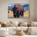 Bison Photography Wall Art Canvas Print – Framed Rustic by MyGreatCanvas | Canvas Wall Art Prints | Photo Prints & Wall Decor