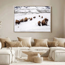 Bison Herd Wall Art Canvas Print – Framed Western Wildlife by MyGreatCanvas | Canvas Wall Art Prints | Photo Prints & Wall Decor