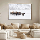 Bison Herd Decor Wall Art Canvas Print – Framed Snowy Bison by MyGreatCanvas | Canvas Wall Art Prints | Photo Prints & Wall Decor