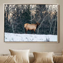Wild Elk Wall Art Canvas Print – Framed Winter Wildlife by MyGreatCanvas | Canvas Wall Art Prints | Photo Prints & Wall Decor