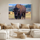 Bison Photography Wall Art Canvas Print – Framed Rustic by MyGreatCanvas | Canvas Wall Art Prints | Photo Prints & Wall Decor