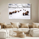 Bison Herd Wall Art Canvas Print – Framed Western Wildlife by MyGreatCanvas | Canvas Wall Art Prints | Photo Prints & Wall Decor