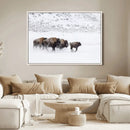 Bison Herd Decor Wall Art Canvas Print – Framed Snowy Bison by MyGreatCanvas | Canvas Wall Art Prints | Photo Prints & Wall Decor