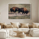 Bison Wall Art Canvas Print – Framed Western Wildlife Art by MyGreatCanvas | Canvas Wall Art Prints | Photo Prints & Wall Decor