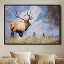 Mountain Elk Wall Art Canvas Print – Framed Rustic Wildlife by MyGreatCanvas | Canvas Wall Art Prints | Photo Prints & Wall Decor