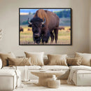 Bison Photography Wall Art Canvas Print – Framed Rustic by MyGreatCanvas | Canvas Wall Art Prints | Photo Prints & Wall Decor