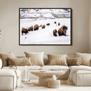 Bison Herd Wall Art Canvas Print – Framed Western Wildlife by MyGreatCanvas | Canvas Wall Art Prints | Photo Prints & Wall Decor
