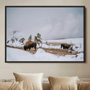 Bison Wildlife Wall Art Canvas Print, Framed Snowy Prairie by MyGreatCanvas | Canvas Wall Art Prints | Photo Prints & Wall Decor
