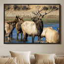 Wild Elk Wall Art Canvas Print – Framed Neutral Wildlife by MyGreatCanvas | Canvas Wall Art Prints | Photo Prints & Wall Decor