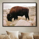 Western Wildlife Wall Art Canvas Print, Majestic Wilderness by MyGreatCanvas | Canvas Wall Art Prints | Photo Prints & Wall Decor