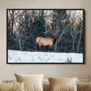 Wild Elk Wall Art Canvas Print – Framed Winter Wildlife by MyGreatCanvas | Canvas Wall Art Prints | Photo Prints & Wall Decor