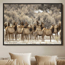 Majestic Elk Herd Winter Canvas, Elk Herd Winter Landscape by MyGreatCanvas | Canvas Wall Art Prints | Photo Prints & Wall Decor