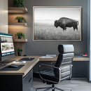 Bison in Prairie Wall Art Canvas Print – Framed Rustic by MyGreatCanvas | Canvas Wall Art Prints | Photo Prints & Wall Decor
