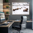 Bison Herd Wall Art Canvas Print – Framed Western Wildlife by MyGreatCanvas | Canvas Wall Art Prints | Photo Prints & Wall Decor