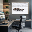 Bison Herd Decor Wall Art Canvas Print – Framed Snowy Bison by MyGreatCanvas | Canvas Wall Art Prints | Photo Prints & Wall Decor