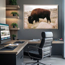 Western Wildlife Wall Art Canvas Print, Majestic Wilderness by MyGreatCanvas | Canvas Wall Art Prints | Photo Prints & Wall Decor