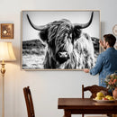 Black and White Scottish Cow Canvas Wall Art Highland Cattle