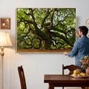 Angel Oak Tree Wall Art Canvas Print | Forest Tree Nature