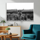 Black and White Highland Cow Canvas Wall Art, Longhorn by MyGreatCanvas | Canvas Wall Art Prints | Photo Prints & Wall Decor