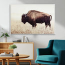 Bison in Field Wall Art Canvas Print For Farmhouse Barn