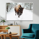 Bison Wall Art Canvas Print For Farmhouse, Animal Canvas