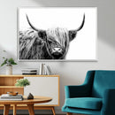 Black White Scottish Highland Cow Cattle Art Print Farmhouse