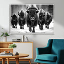 American Bison Art | Buffalo Herd Wall Art Canvas Print, BW