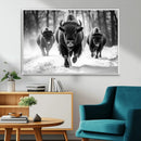 Buffalo Wall Art Canvas Print, Bison Family Wall Art Canvas by MyGreatCanvas | Canvas Wall Art Prints | Photo Prints & Wall Decor